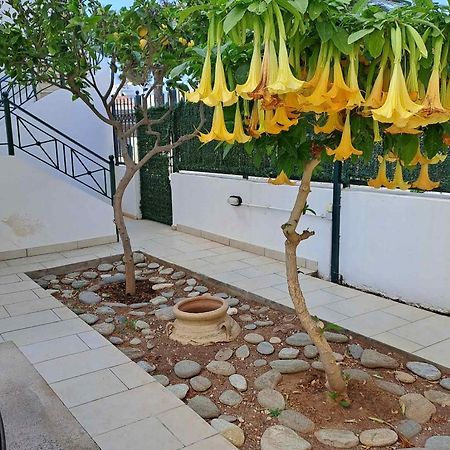 Dimitris Place Near Athens Airport كوروبيون المظهر الخارجي الصورة