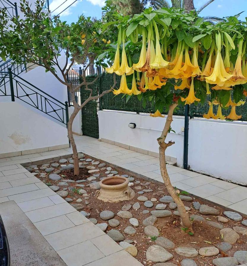Dimitris Place Near Athens Airport كوروبيون المظهر الخارجي الصورة