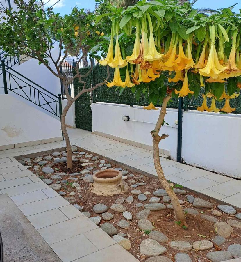 Dimitris Place Near Athens Airport كوروبيون المظهر الخارجي الصورة